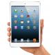 Apple iPad mini Wi-Fi LTE 32 GB White (MD544, MD538), ���� #3