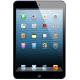 Apple iPad mini Wi-Fi LTE 64 GB Black (MD542, MD536), ���� #1