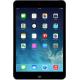 Apple iPad mini with Retina display Wi-Fi 32GB Space Gray (ME277), ���� #1