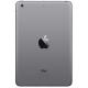 Apple iPad mini with Retina display Wi-Fi 64GB Space Gray (ME278), ���� #2