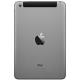 Apple iPad mini with Retina display Wi-Fi LTE 32GB Space Gray (MF080, ME820), ���� #2
