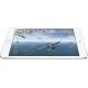 Apple iPad mini 3 Wi-Fi LTE 128GB Silver (MH3M2, MGJ32), ���� #3