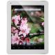 PiPO M6 Pro 3G 32GB (White), ���� #1