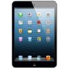 Apple iPad mini Wi-Fi LTE 32 GB Black