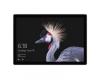 Microsoft Surface Pro (2017) Intel Core i5 / 256GB / 8GB RAM (US) (FJX-00001)