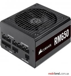 Corsair RM650 (CP-9020194)