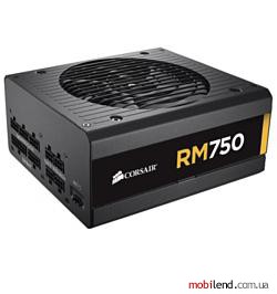 Corsair RM750 750W
