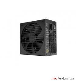 Fractal Design Ion Gold 750W D-P-IA2G-750-EU (FD-P-IA2G-750-EU)