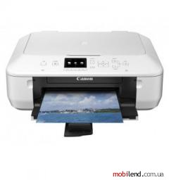 Canon PIXMA MG5540 (8580B026)