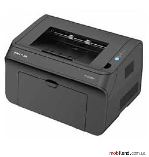 Pantum P2050