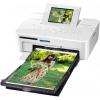 Canon SELPHY CP810