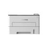 Pantum P3010DW