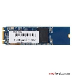 AMD 480 GB (R5M480G8)