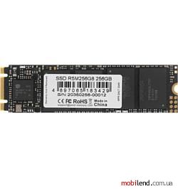 AMD Radeon R5 256GB R5M256G8