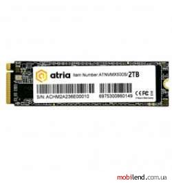 ATRIA X500S 2 TB (ATNVMX500S/2048)