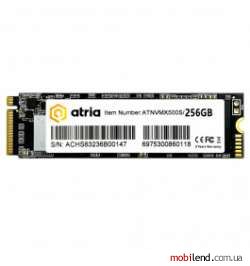 ATRIA X500S 256 GB (ATNVMX500S/256)
