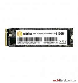 ATRIA X500S 512 GB (ATNVMX500S/512)