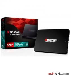 Biostar S100 120 GB (S100E-120GB)