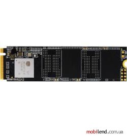 Biostar M720 256 GB (M720-256GB)