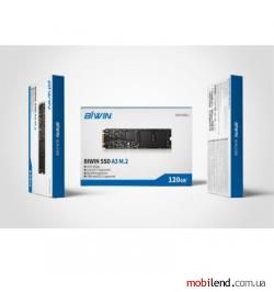 BIWIN A3 120 GB (CNF82D00002-120)