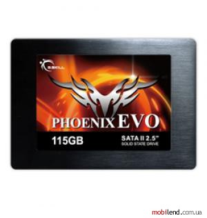 G.Skill Phoenix EVO 115 GB (FM-25S2-115GBPE)