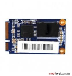 Golden Memory GM2021256GB