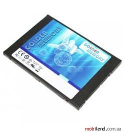 Golden Memory GMSSD256GB