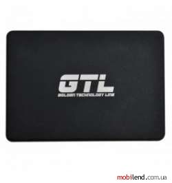 GTL Aides 256 GB (GTLAIDES256GBOEM)