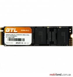 GTL Poseidon 256 GB (GTLPOS256GBNV)