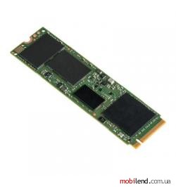 Intel Pro 6000p Series 256 GB (SSDPEKKF256G7X1)