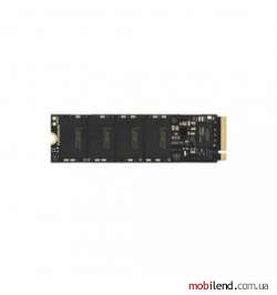 Lexar NM620 256 GB (LNM620X256G-RNNNG)