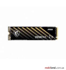 MSI Spatium M470 2 TB (S78-440Q470-P83)
