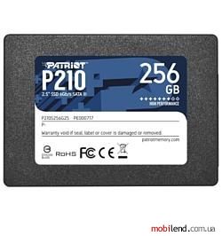 Patriot Memory P210S256G25