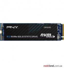 PNY CS1030 250 GB (M280CS1030-250-RB)