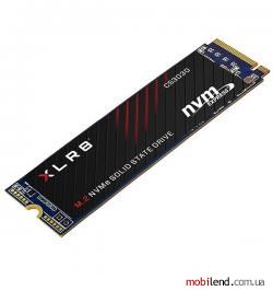 PNY CS3030 500 GB (M280CS3030-500-RB)