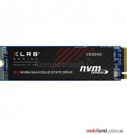 PNY CS3040 1 TB (M280CS3040-1TB-RB)