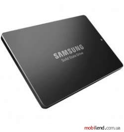 Samsung PM893 480 GB (MZ7L3480HCHQ-00A07)