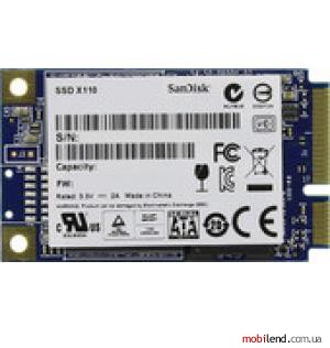 SanDisk X110 256GB (SD6SF1M-256G-1022)