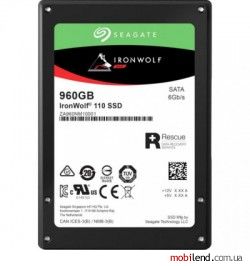 Seagate IronWolf 110 960 GB (ZA960NM10011)