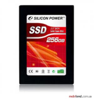 Silicon Power 256 GB