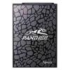 Apacer AS330 PANTHER SSD 480GB