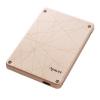 Apacer AS720 Dual Interface AP120GAS720-1