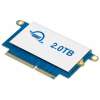 OWC Aura Pro NT 1 TB (OWCS3DAP4NT10)