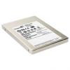 Seagate 600 Pro ST100FP0021