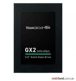 TEAM GX2 256 GB (T253X2256G0C101)
