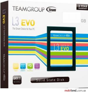 TEAM L3 Evo 960GB (T253LE960GTC103)