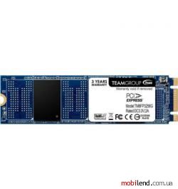 TEAM MP32 256 GB (TM8FP3256G0C101)