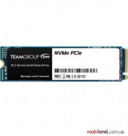TEAM MP33 1 TB (TM8FP6960G0C101)