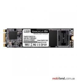 TEAM MS30 128 GB (TM8PS7128G0C101)