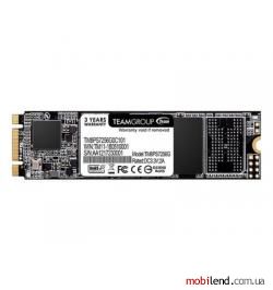 TEAM MS30 256 GB (TM8PS7256G0C101)